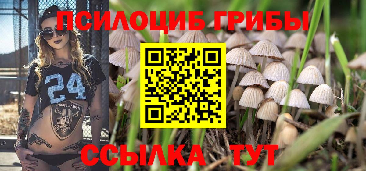 Галлюциногенные грибы мухоморы  Галлюциногенные грибы мицелий  Черкесск  Вход с VPN 